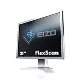 Eizo S2133-GY - Monitor de 21' 1600 x 1200, Color Gris