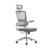 Ergonomic High Back Desk Chair, Swivel Office Chair with Folding Arms and 3D Lumbar Support, Computer Chair for Adults Children, Supports 150kg (Color : White)