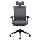 Amazon Brand - Movian - ເກົ້າອີ້ສູງດ້ານຫຼັງ Ergonomic Executive Desk Chair with Adjustable Headrest and Armrests and Lumbar Support, 63 × 59,5 × 124 cm, ສີຂີ້ເຖົ່າ