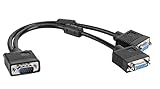 D.Square- Cable Divisor VGA Separador en Forma de Y, Convertidor 1 Macho Entrada a 2 Hembras Salidas 1080p para Duplicación de Pantalla y Monitor VGA. 45CM