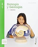 जीव विज्ञान और भूविज्ञान कैस्टिला ला मांचा ऑबसर्वा श्रृंखला 1 जो जानते हैं कि कैसे करना है - 9788468033563 (माध्यमिक शिक्षा)