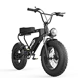 Freego Bicicleta Eléctrica Neumático Gordo Bicicleta de Ciudad MTB 20 Pulgadas para Adultos