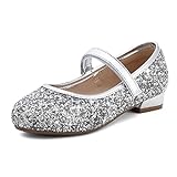 夢幻配對 女孩芭蕾舞鞋 舒適適合儀式芭蕾平底鞋 女孩公主閃亮銀色 SDFL2221K-E 尺寸 27（歐元）