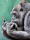 GBPR Puslespil for voksne Gorilla-6000 Puslespil for voksne Umuligt puslespil træpuslespil