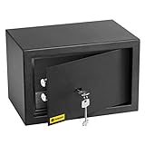 HomeSafe HV20K Caja fuerte con Cerradura de Calidad 20x31x20cm (WxHxD), Negro Satén de Carbón