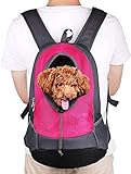 NHSUNRAY Pet Carrier Backpack for Small Dog Cat Puppy(8kgs Max) On-the-Go Travel Pet Front Back Bag Breathable Soft Mesh Pup Pack 42 * 38 * 20cm (Rose Red)