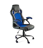 CAMBIA TUS MUEBLES - Silla Gaming X-One sillón Giratorio de Oficina despacho Escritorio, en Negro Rojo Azul y Gris (Azul)