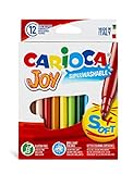 Carioca - Caja de rotuladores con tinta lavable, punta fina sintética, 12 unidades, multicolor