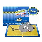 Wanke Mouse Traps 10 Pieces Sticky Mouse Pad Mouse Catcher Super Sticky Litoeba Control 8'x12'