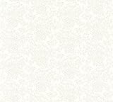 VERSACE ОБОИ 935842 — Роскошные обои с цветочным рисунком, 10,05 x 0,70 м, кремовый металлик