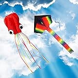 ZoomSky 2pcs Cometa Iris de Triangular y Pulpo bagre Color Vario Rainbow de Volar con Viento Suave para los niños y Adultos (Triangular y Pulpo)