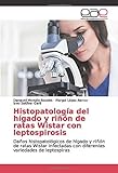 Histopatología del hígado y riñón de ratas Wistar con leptospirosis: Daños histopatológicos de hígado y riñón de ratas Wistar infectadas con diferentes variedades de leptospiras
