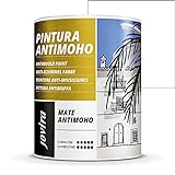 PINTURA ANTIMOHO, evita el moho, resistente a la aparición de moho en paredes, aspecto mate. (750 ML, BLANCO)