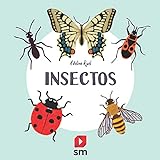 Insectos (Naturaleza)