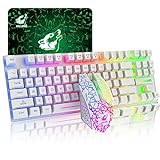 Комбінована бездротова клавіатура та миша з 87 клавішами Rainbow Backlit 2.4G Перезаряджувана механічна ігрова клавіатура + світлодіодна ігрова миша 2400 DPI + килимки для миші (білі)