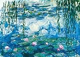 Claude Monet - Puzzle de 1000 piezas para adultos (70 x 50 cm, rompecabezas clásicos, 1000 piezas, para adultos, 1000 piezas, 1000 piezas)