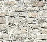 Tapeta z efektem kamienia Elementy AS Création Tapeta włókninowa 10.05 m x 0.53 m Szaro-beżowy Made in Germany 363702 36370-2