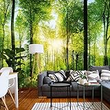 murimage Papel Pintado Bosque 3D 366 x 254 cm incluye pegamento Fotomurales Vista madera árboles luz del sol living sala