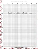graph notebook a4 1 mm: ປື້ມບັນທຶກກຣາບ 1mm | 120 ໜ້າຂອງ Graph Paper| ສໍາລັບວິທະຍາສາດ, ຄະນິດສາດ, ຟີຊິກ, ... ຂອງຂວັນສໍາລັບນັກຮຽນແລະນັກຄົ້ນຄວ້າ.