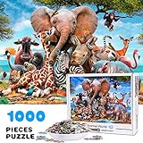 Vimzone Puzzle de 1000 Piezas para Adultos, Mundo Animal, Ilustraciones de Juegos de Rompecabezas para Adultos, Adolescentes, Rompecabezas de Piso de Impresión de Alta Definición (70 x 50 cm)