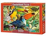 Castorland Interlude 3000 kosov sestavljanke - sestavljanka (sestavljanka, flora in favna, otroci in odrasli, deček/deklica, 9 let, notranji), različnih barv/modelov