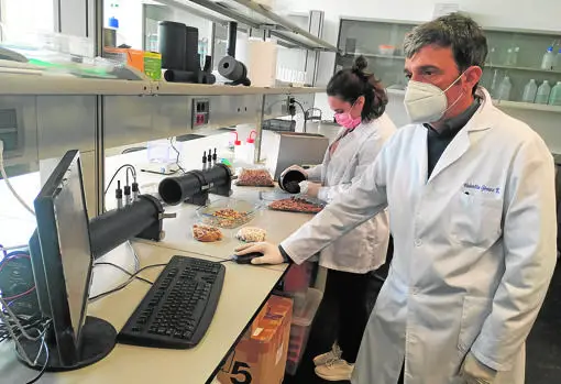 Valentín Gómez Escobar, en su laboratorio de la UEx