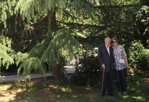 Antonio Mingote y su esposa Isabel Vigiola junto al abeto que el maestro plantó en el Retiro