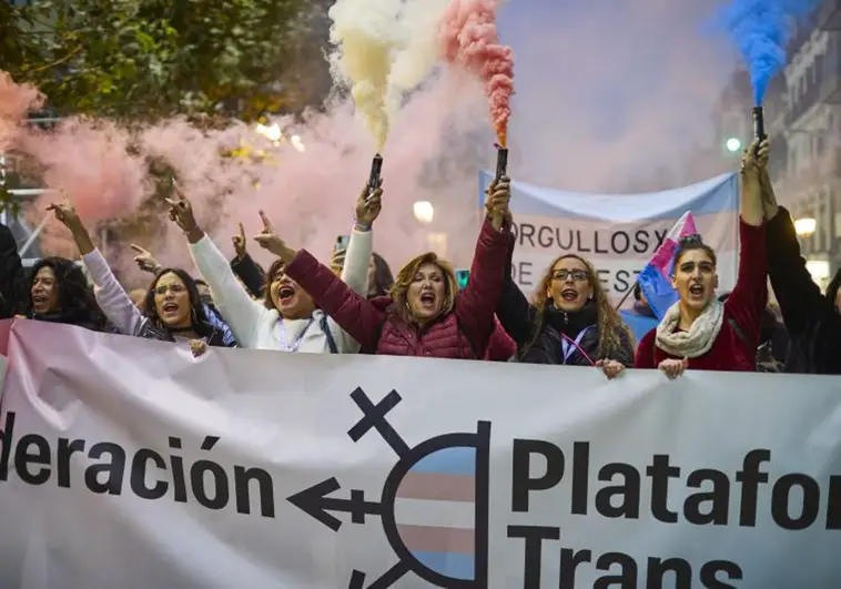 मैड्रिड में ट्रांससेक्सुअल और एलजीटीबीआई लोगों के अधिकारों के लिए समूहों का प्रदर्शन
