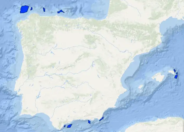 Zonas donde se puede abrir la marina eólica