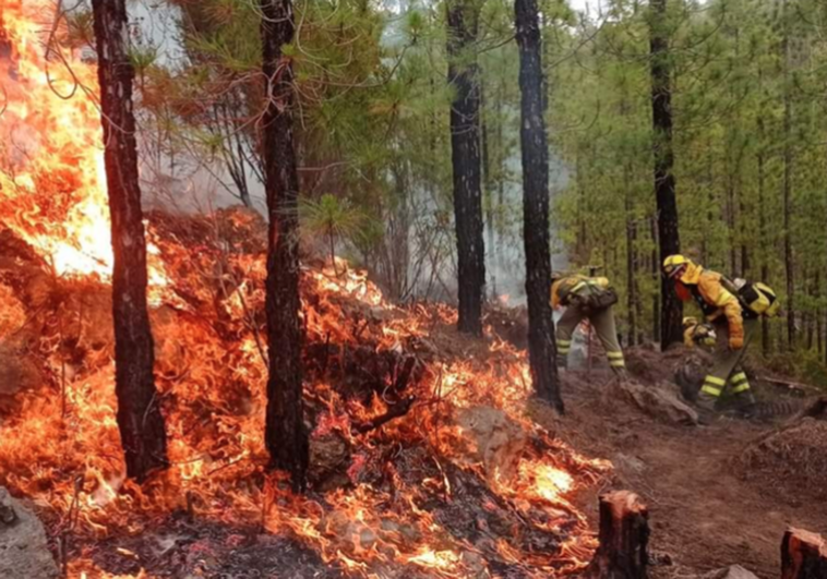 Foto del archivo de incendios forestales de Los Realejos del pasado verano